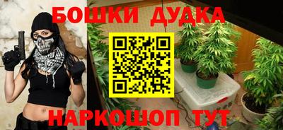 прущие грибы Ачхой-Мартан