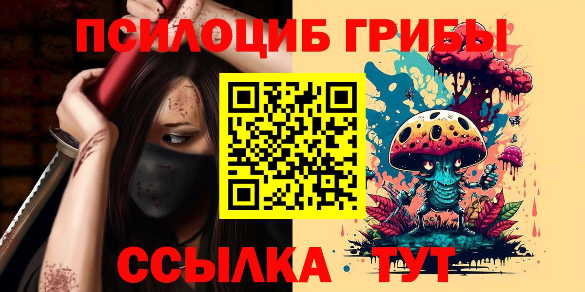 Комсомольск-на-Амуре  Галлюциногенные грибы Psilocybe  Галлюциногенные грибы мицелий  Вход с VPN 