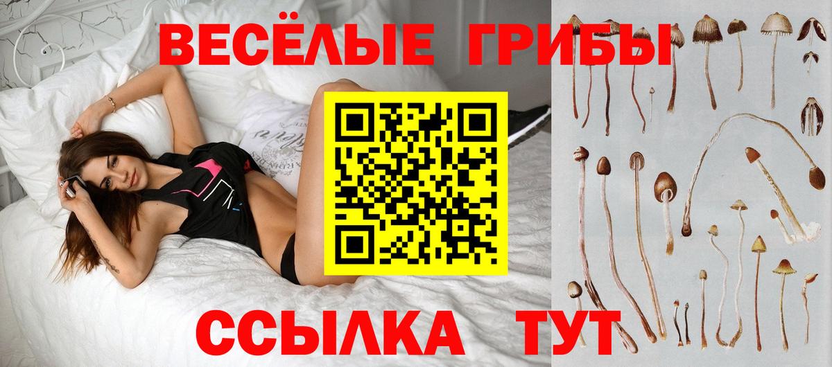 Галлюциногенные грибы Psilocybe Комсомольск-на-Амуре